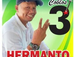 Raden Hermanto Bersama Sejumlah Visi dan Misinya Membangun Desa Rantau Pauh