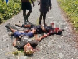 Kopitua Tuding Akibat Pernyataan Panglima TNI, Dua Pendulang Emas Tewas Dibantai.