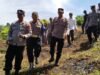 Mendukung Swasembada Pangan, Kapolsek Jeunieb dan Muspika Melakukan Penanaman Jagung Kuartal IV Secara Serentak.