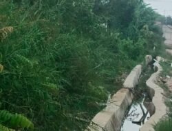 Baru Sebulan, Proyek Drainase di Sematang Borang Menjelma Menjadi ‘Anaconda’
