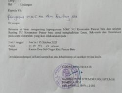 Camat Pancur Batu Sandra Gagal Fungsi Sebagai Pembina Organisasi Kemasyarakatan
