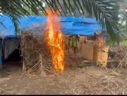 Polres Binjai Kembali Lagi Grebek dan Musnahkan Barak Narkoba di Kecamatan Sei Bingai