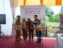 PT Pertamina Ep Rantau Field  Launching Program CSR Smart Farming Dan Panen Raya Melon Di Desa Kebun Tanjung Seumantoh