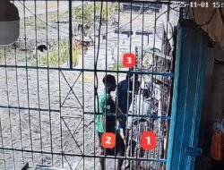 Terekam CCTV Seorang Warga Sipil Ditikam di Dekai, Satgas Damai Cartenz Buru Tiga Pelaku