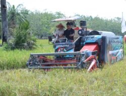 Wakil Gubernur Aceh dan Wakil Bupati Aceh Tamiang Kompak Panen Raya, Sinergi Kuatkan Ketahanan Pangan