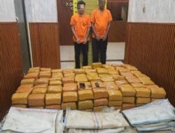 Timsus Ditresnarkoba Polda Sumut Gagalkan Peredaran 255 Kg Ganja Asal Aceh, Dua Kurir Ditangkap