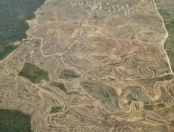 Oknum Serakah Hancurkan Alam di Sumut, Aceh dan Sumbar : Formappel RI Layangkan Kecaman Keras.