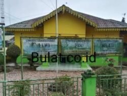 Proyek Desa Diduga Tertutup, Warga Kuta Pinang Minta Aparat Bertindak
