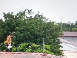 Gunakan Seutas Tali, Sang Ayah Selamatkan Keluarganya Saat Banjir Setinggi Atap Rumah