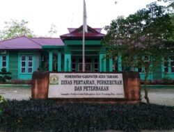 Pascabanjir, Distanbunak Aceh Tamiang Mulai Data Ternak Mati: Datok Penghulu Diminta Proaktif