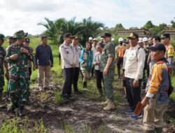 Bupati & Wabup Bartim Tinjau 406 Hektare Lokasi Cetak Sawah Rakyat