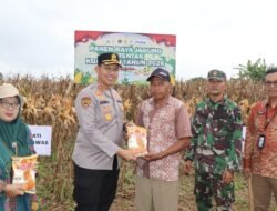 Wujudkan Ketahanan Pangan, Polres Musi Rawas Gelar Panen Raya Jagung Kuartal IV Bersama Stakeholder