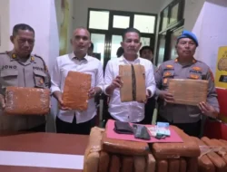 Press Release Satres Narkoba Polres Labusel Ungkap 27,869 Gram Ganja, Satu Buruh Asal Padang Ditangkap
