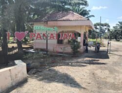 Istri Danton Mengaku Diperiksa Koorkam PT.PN IV Panai Jaya, Klaim Hanya Ambil Tanah untuk Polibag