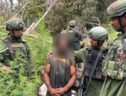 Stop Normalisasi Ganja, Mari Selamatkan Generasi Muda Pegunungan Bintang.