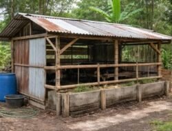 Proyek BUMDesma Sei Bamban Disorot, Kandang Rp.85 Juta Diduga Sarat Korupsi