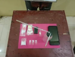 Satresnarkoba Polres Padang Lawas Amankan Pengedar Sabu Lintas Provinsi