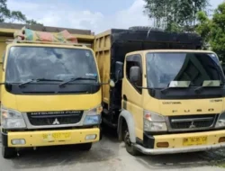 Polda Riau Amankan Dua Unit Truk Pengangkut Kayu Hasil Ilegal Logging