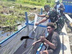 Kompi Produksi Lanud YKU, Tebar 1000 Benih Lele, Perkuat Program Ketahanan Pangan