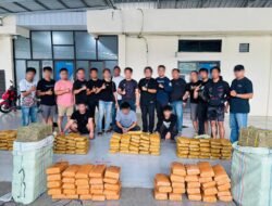 BNN RI Sita 200 Kg Ganja dari Jaringan Aceh-Medan