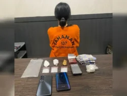 Simpan 29,61 Gram Sabu Didalam Tanah Dirumahnya, IRT Muda di Tempilang Ditangkap Polda Babel