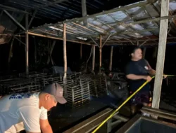 Tindaklanjuti Informasi yang berkembang, Polda Banten Gerebek Lokasi Sabung Ayam