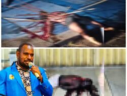 Duka di Ambang Paskah: Sehari Dua Nyawa Melayang di Timika, KNPI Desak Aparat Bertindak Cepat