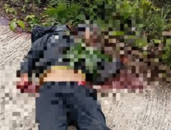 Dua Orang Dilaporkan Tewas Dibantai Kelompok Kriminal Bersenjata di Tambrauw