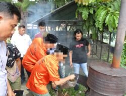 Polda Papua Musnahkan 6,3 Kilogram Ganja Hasil Pengungkapan Jaringan Lintas Wilayah Indonesia Timur