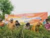 DPW A–PPI Sumut Menyoroti Harga Cabai Anjlok Menyentuh Rp.8.000. Ratusan Petani Deli Serdang Rugi.