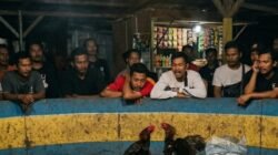 Aktivitas Sabung Ayam Disebut Masih Berjalan, Polisi Diminta Bertindak