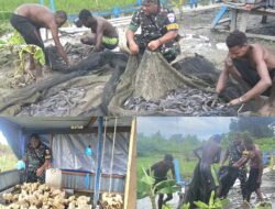 TNI AU AMPUH…, Babinterau Lanud YKU Bersama Warga lokal Panen Ikan Lele dan Budidaya Peternakan Bebek.