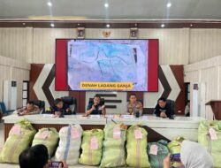 Berawal dari Penangkapan di Palembang, Ladang Ganja 20 Hektar di Batu Jungul Digulung Polisi