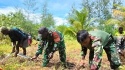 Satgas TMMD Mimika Sulap Lahan Tidur Menjadi Pertanian Bersama Warga