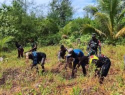 Satgas TMMD Mimika Sulap Lahan Tidur Menjadi Pertanian Bersama Warga