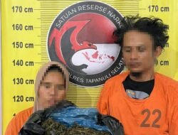 Satresnarkoba Polres Tapsel Gagalkan Peredaran 3 Kg Ganja, Dua Pelaku Ditangkap Gunakan Becak Motor