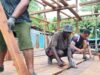 Seluruh Pemasangan Lantai Rampung, Progres Pembangunan Rumah TMMD Terus Dikebut