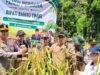 Bupati Bartim M.Yamin Menghadiri Panen Perdana Di Desa Ampari