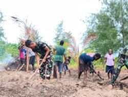 Kerjasama Satgas TMMD dan Warga Pembuatan Bedengan Lahan Telah Mencapai 50 Persen