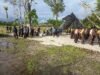 Danlanal Timika Gandeng Kampung Nawaripi Sukseskan Program KKRI