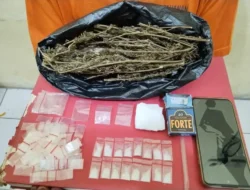 Bravo…Satres Narkoba Polres Pakpak Bharat Ringkus Pengedar, Bandar dan Pemakai Narkoba.