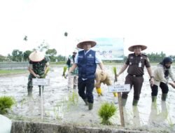 Gertam Serentak Jadi Jurus Tahan El Nino, OKU Timur Tancap Gas Kejar 1 Juta Ton GKG 2026