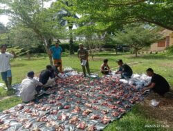 Iduladha 1447 H, PT Betami Aceh Tamiang Sembelih Enam Ekor Sapi Kurban