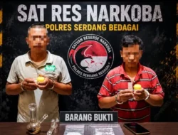 Dua Pengguna Sabu Ditangkap di Kebun Sawit Sergai, Satu Pelaku Masih Buron