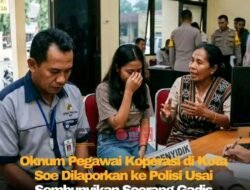 Oknum Pegawai Koperasi di Sore Dilaporkan ke Polres TTS Diduga Menyembunyikan Seorang Gadis.